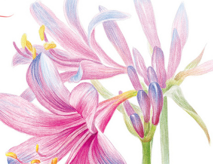 成都治疗宫颈糜烂哪里好点?