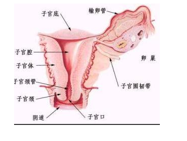 成都治疗宫颈糜烂专科医院